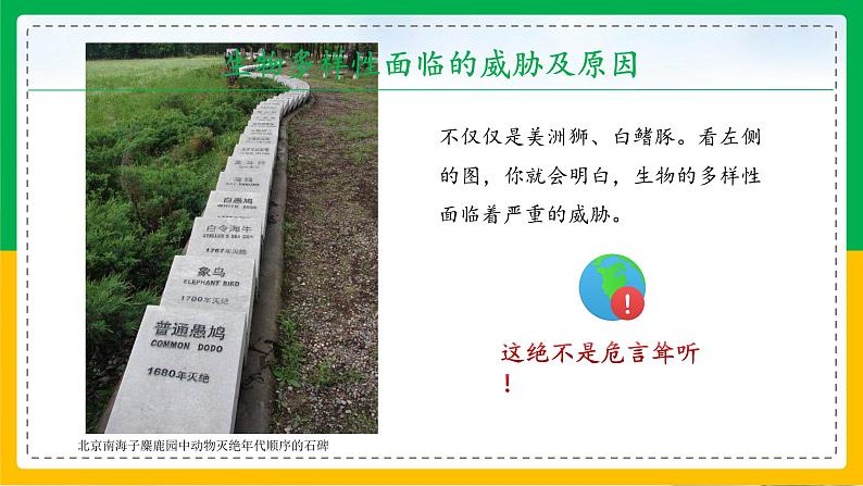 6.3+保护生物的多样性(同步课件+同步练习)-2023-2024学年八年级生物上册同步精品课堂(人教版)05