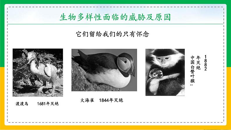 6.3+保护生物的多样性(同步课件+同步练习)-2023-2024学年八年级生物上册同步精品课堂(人教版)06