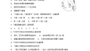 初中生物人教版 (新课标)七年级上册第二节 生物与环境组成生态系统课后练习题