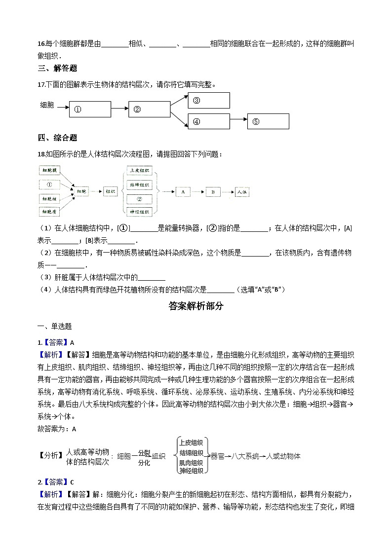 人教版七年级上册生物 2.2.2动物体的结构层次 同步测试02