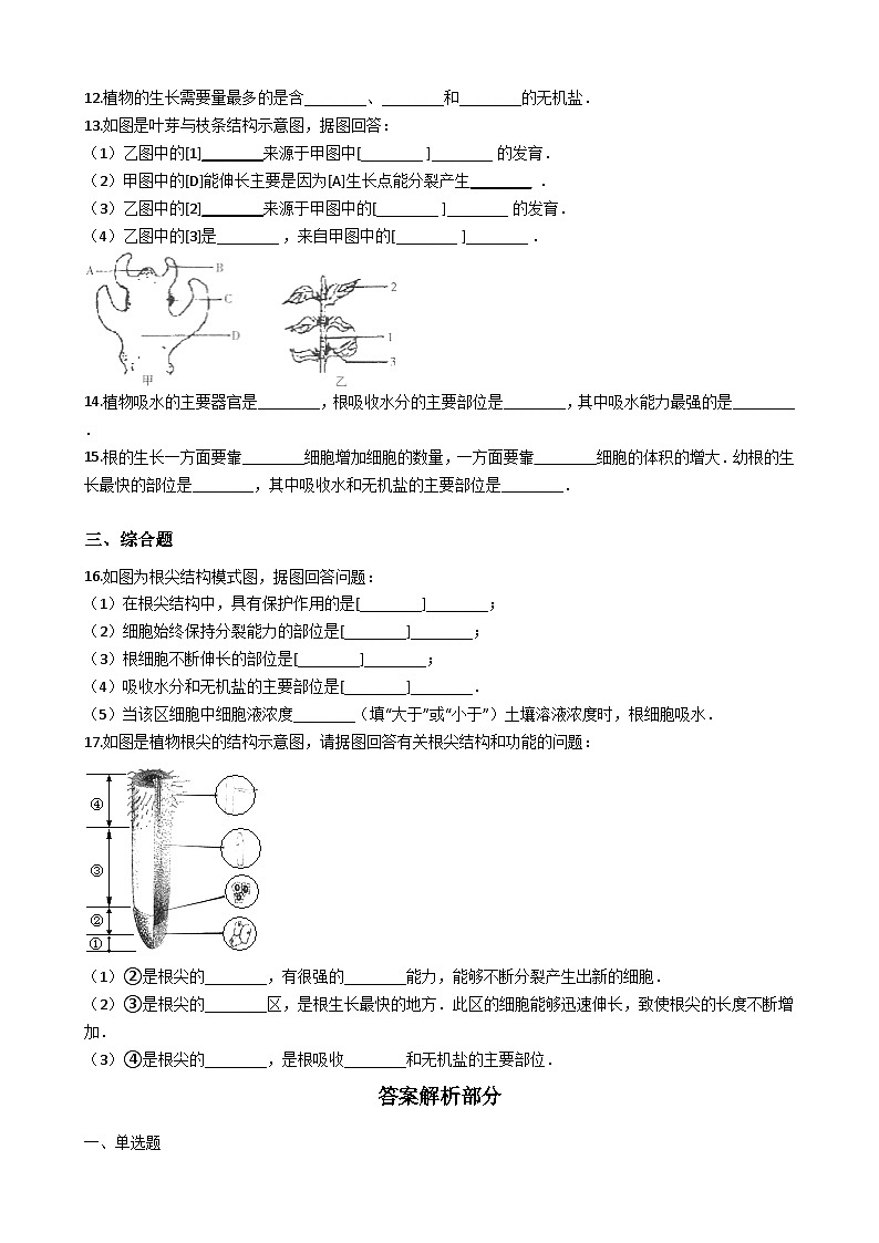 人教版七年级上册生物 3.2.2植株的生长 同步测试02