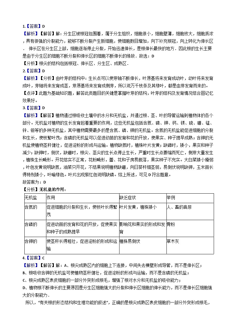 人教版七年级上册生物 3.2.2植株的生长 同步测试03
