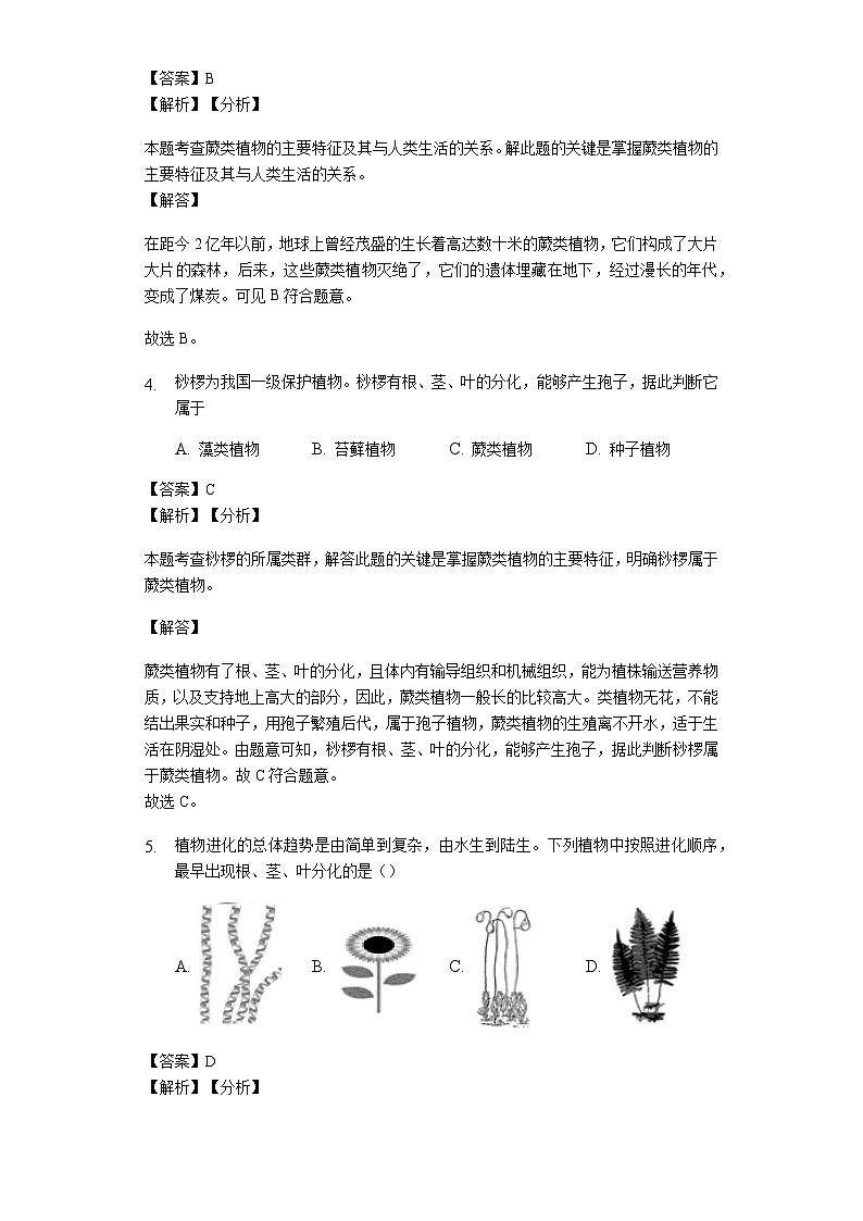 人教版七年级生物上册3.1.1藻类、苔藓和蕨类植物练习(含解析)教师用卷02