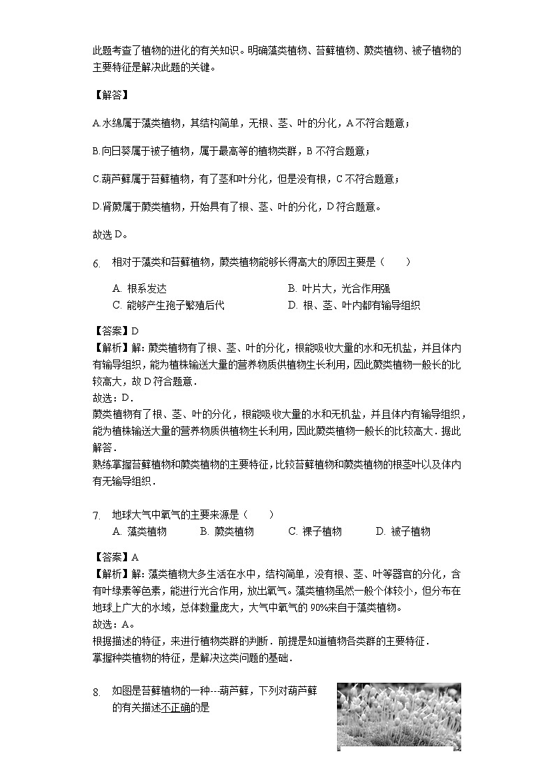 人教版七年级生物上册3.1.1藻类、苔藓和蕨类植物练习(含解析)教师用卷03