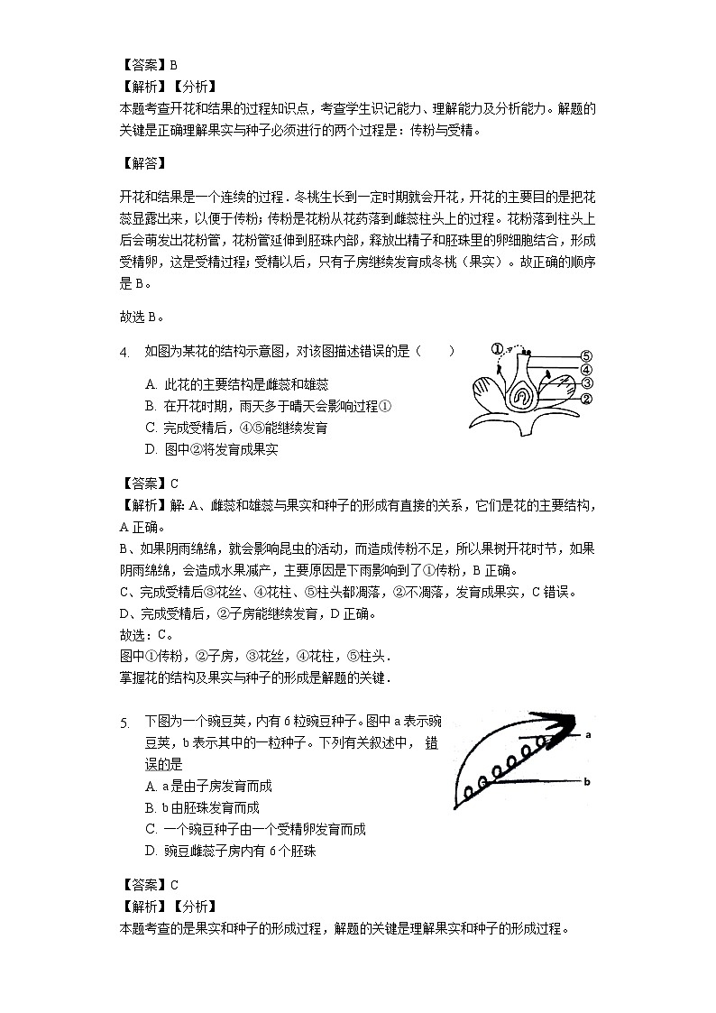 人教版七年级生物上册3.2.3 开花和结果练习(含解析)教师用卷02