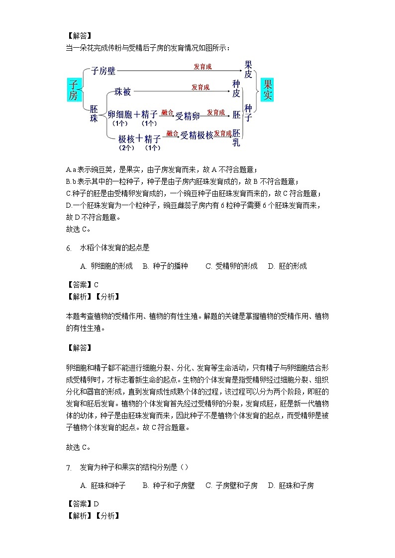人教版七年级生物上册3.2.3 开花和结果练习(含解析)教师用卷03
