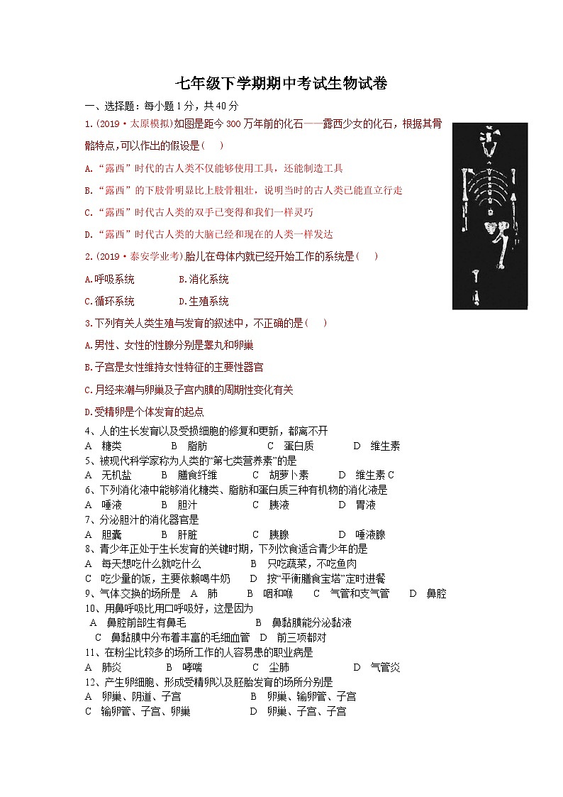 人教版七年级生物下册期中测试卷1第1页