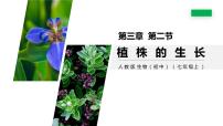 初中生物人教版 (新课标)七年级上册第二节 植株的生长教案配套ppt课件