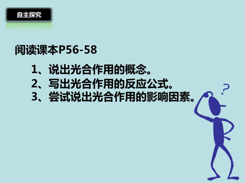 2.1.3绿色植物的光合作用(第二课时)课件2023--2024学年济南版生物七年级上册03