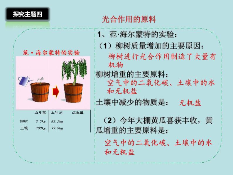 2.1.3绿色植物的光合作用(第二课时)课件2023--2024学年济南版生物七年级上册07