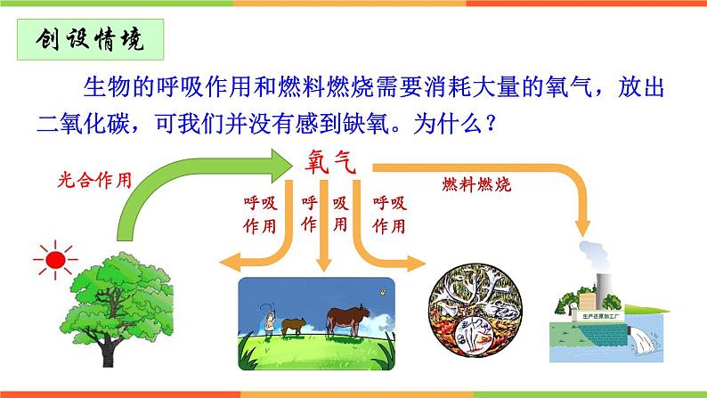 3.5.1 光合作用吸收二氧化碳释放氧气 - 2023-2024学年七年级上册生物同步课件(人教版)第1页