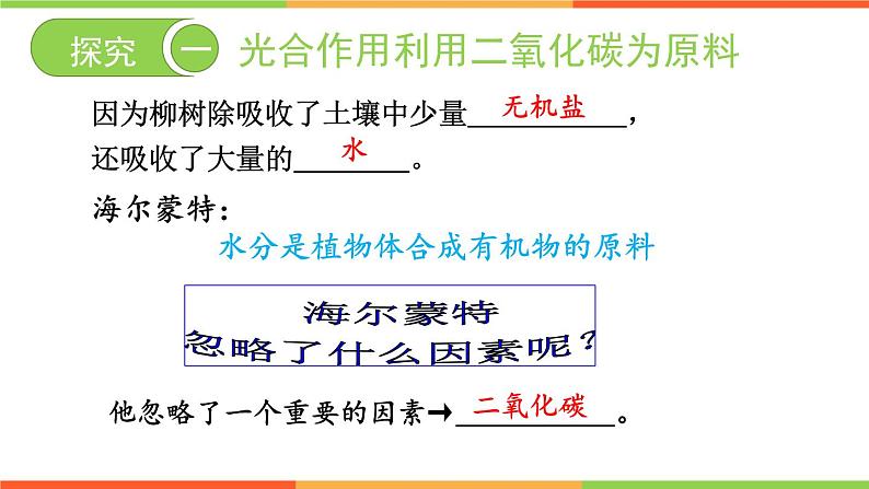 3.5.1 光合作用吸收二氧化碳释放氧气 - 2023-2024学年七年级上册生物同步课件(人教版)第5页