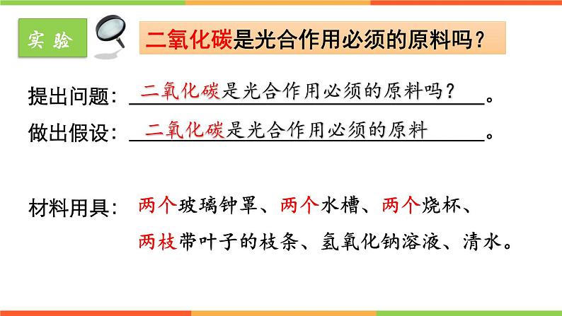 3.5.1 光合作用吸收二氧化碳释放氧气 - 2023-2024学年七年级上册生物同步课件(人教版)第8页
