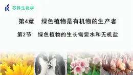 4.2.1 绿色植物的生长需要水和无机盐 课件 苏科版生物七年级上册