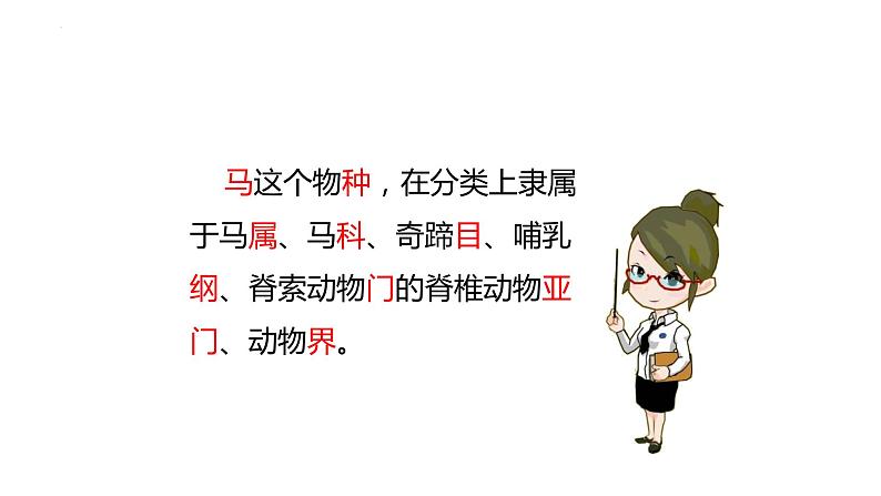 6.1.2 从种到界 课件-2023-2024学年人教版生物八年级上册07