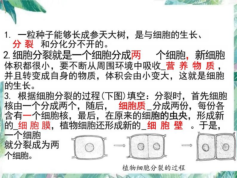 第2单元 生物体的结构层次 复习课件-2023-2024学年人教版生物七年级上册第2页