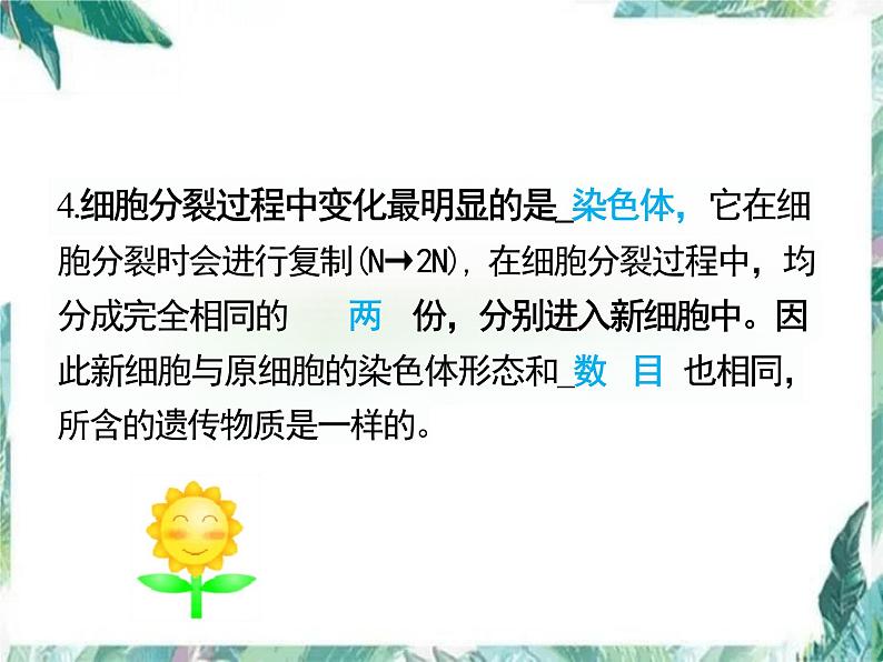 第2单元 生物体的结构层次 复习课件-2023-2024学年人教版生物七年级上册第3页