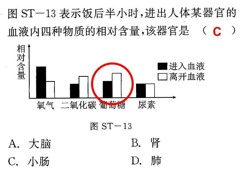 第三章人体的呼吸 复习课件2023-2024学年鲁科版生物七年级上册05