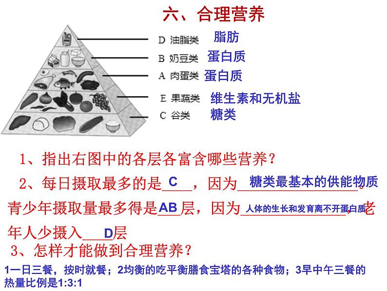 第三章人体的呼吸 复习课件2023-2024学年鲁科版生物七年级上册07