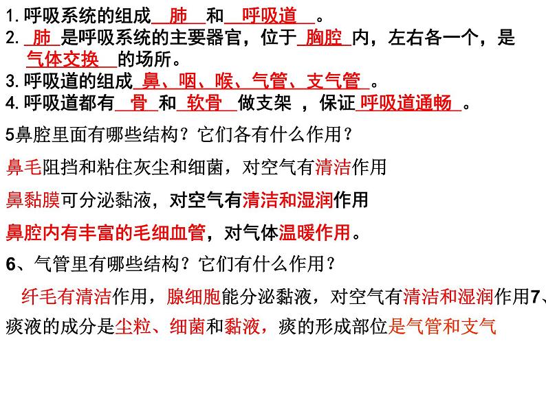 第三章人体的呼吸 复习课件2023-2024学年鲁科版生物七年级上册08