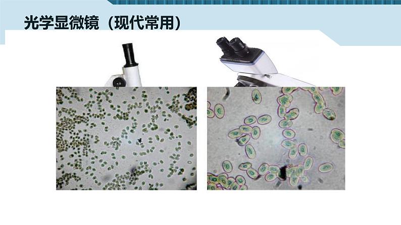 七年级上册生物2.1.1练习使用显微镜课件PPT06