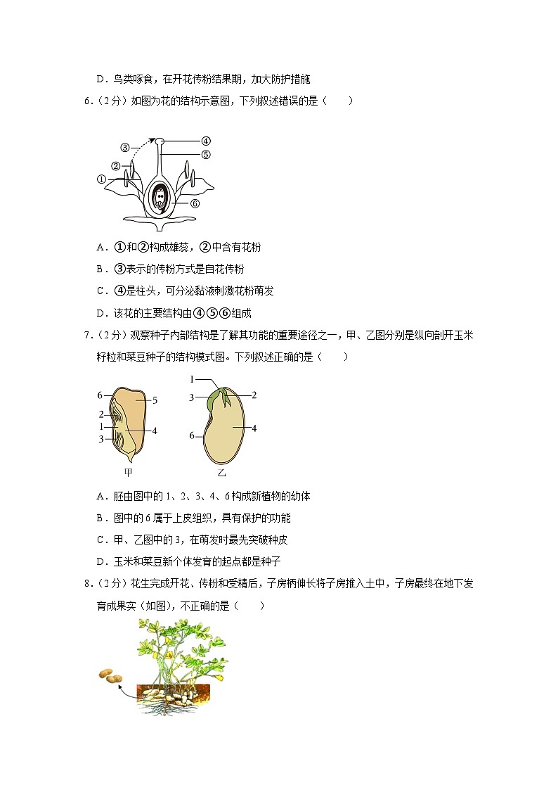 山东省德州市武城县甲马营乡中学2023-2024学年八年级上学期第一次月考生物试卷第2页