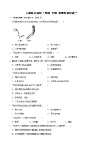 人教版八年级上学期 生物 期中检测试卷二(含解析)