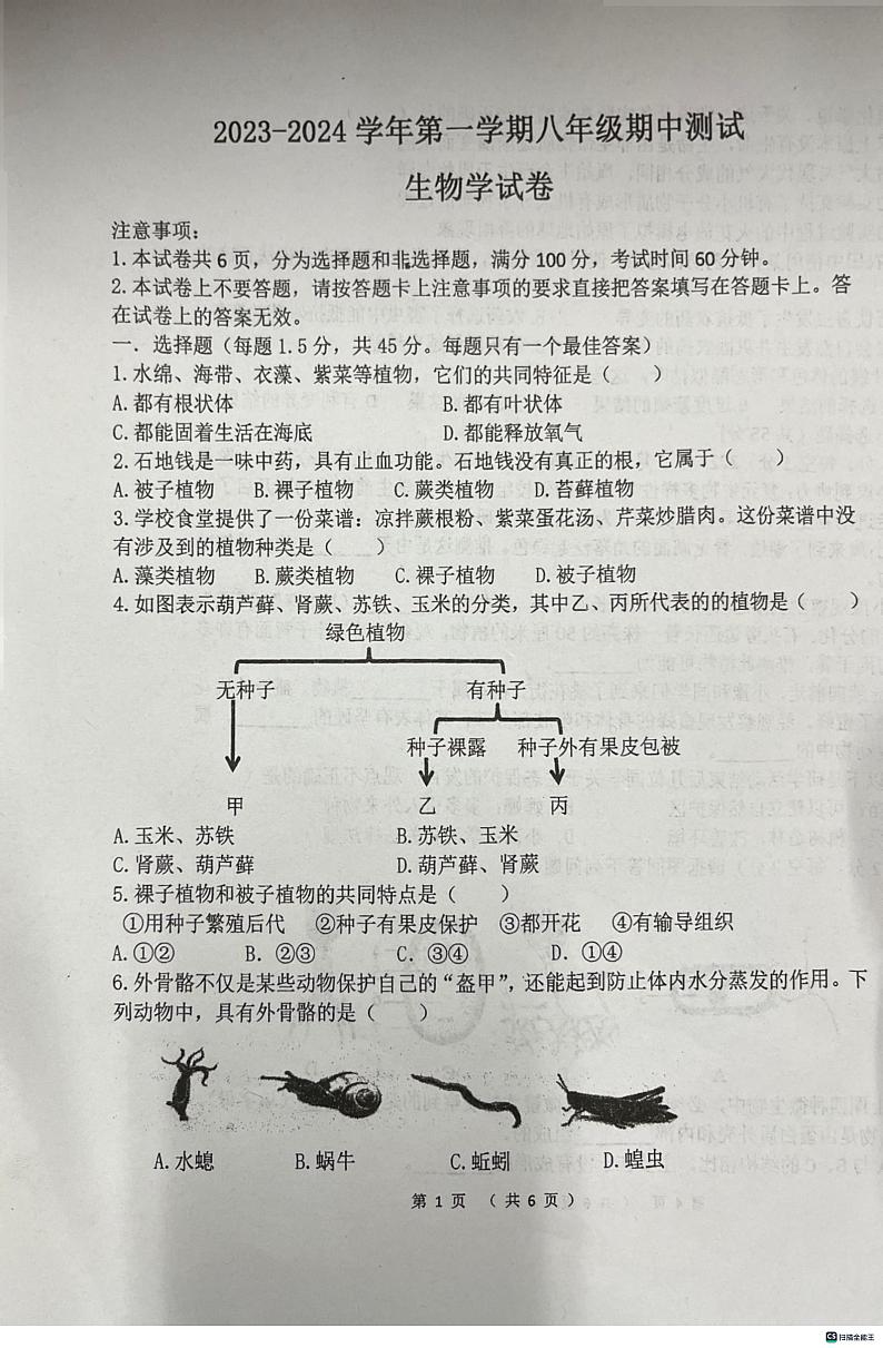 河南省洛阳市东升第二中学2023-2024学年八年级上学期11月期中生物试题第1页