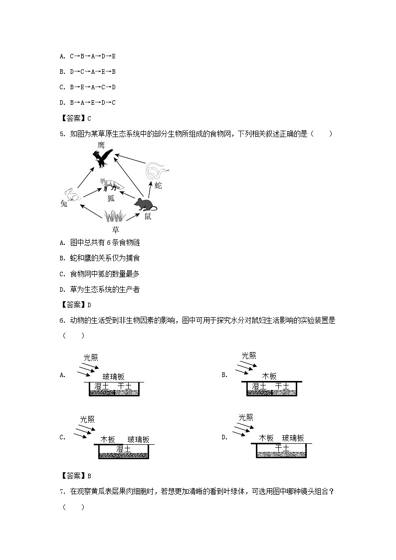 2022-2023学年广东深圳盐田区七年级上册期末生物试卷及答案02