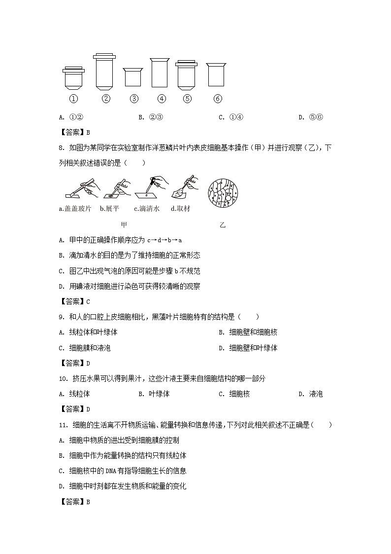 2022-2023学年广东深圳盐田区七年级上册期末生物试卷及答案03