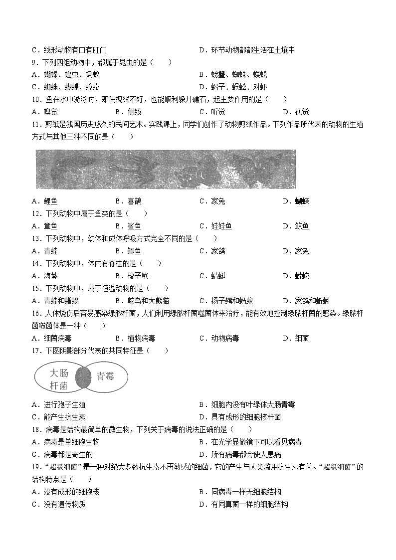 河南省洛阳市东升第二初级中学2023-2024学年八年级上学期期中生物试题第2页