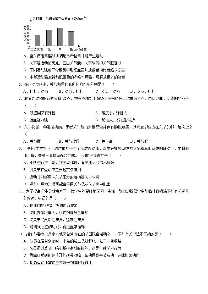 北京市朝阳区外国语学校2022--2023学年八年级上学期期中生物试题第2页