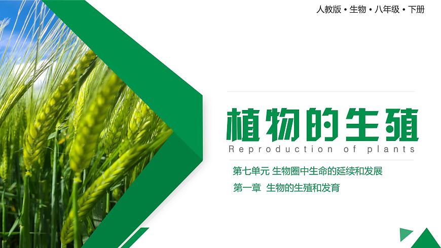 【核心素養(yǎng)】人教版初中生物八年級下冊7.1.1《植物的生殖》課件第1頁