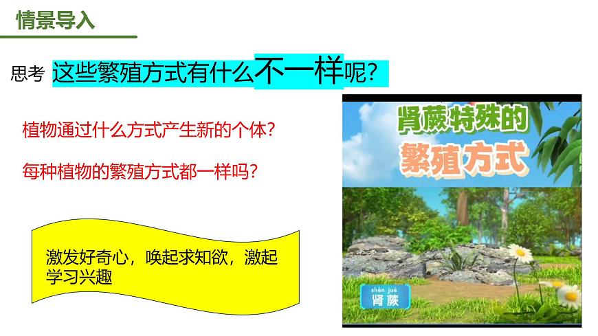 【核心素養(yǎng)】人教版初中生物八年級下冊7.1.1《植物的生殖》課件第5頁