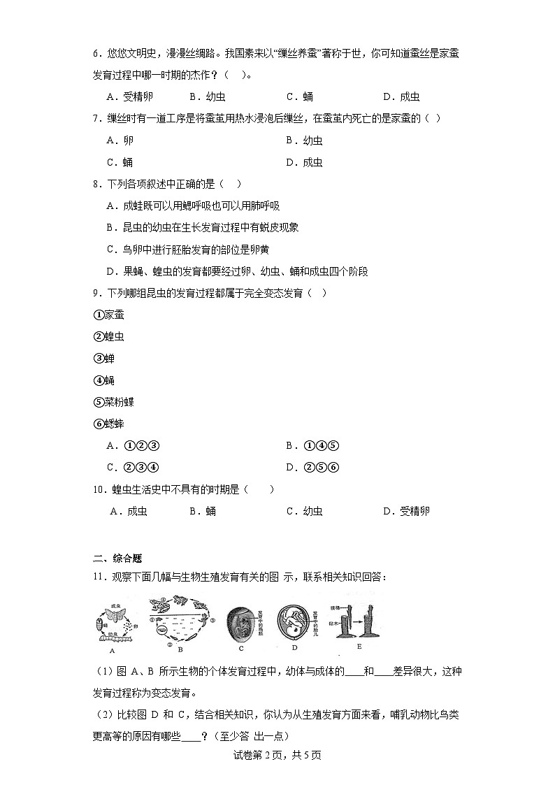 人教版初中生物八年级下册7.12《昆虫的生殖和发育》课时练习第2页