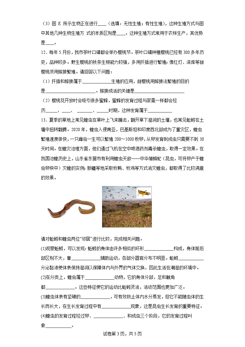 人教版初中生物八年级下册7.12《昆虫的生殖和发育》课时练习第3页