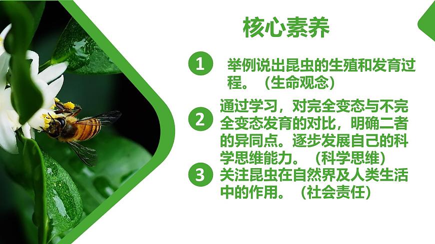 【核心素養(yǎng)】人教版初中生物八年級(jí)下冊(cè)7.1.2《昆蟲的生殖和發(fā)育》課件第2頁(yè)