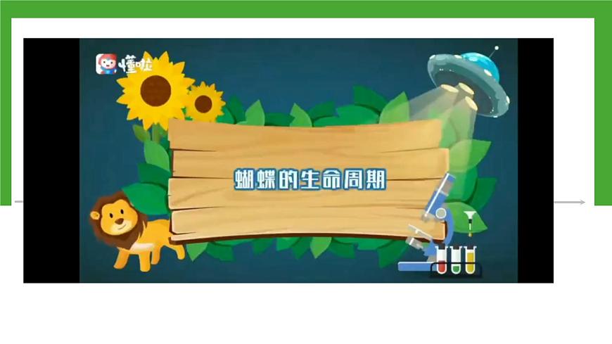 【核心素養(yǎng)】人教版初中生物八年級(jí)下冊(cè)7.1.2《昆蟲的生殖和發(fā)育》課件第6頁(yè)