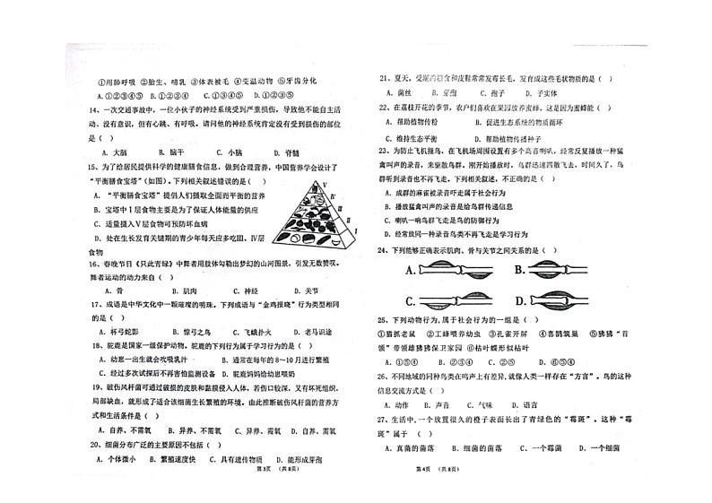 广东省汕头市潮南区阳光实验学校2023-2024学年八年级上学期期中质量检测生物试卷02