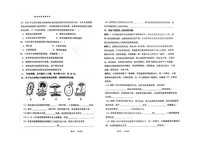 广东省汕头市潮南区阳光实验学校2023-2024学年八年级上学期期中质量检测生物试卷03