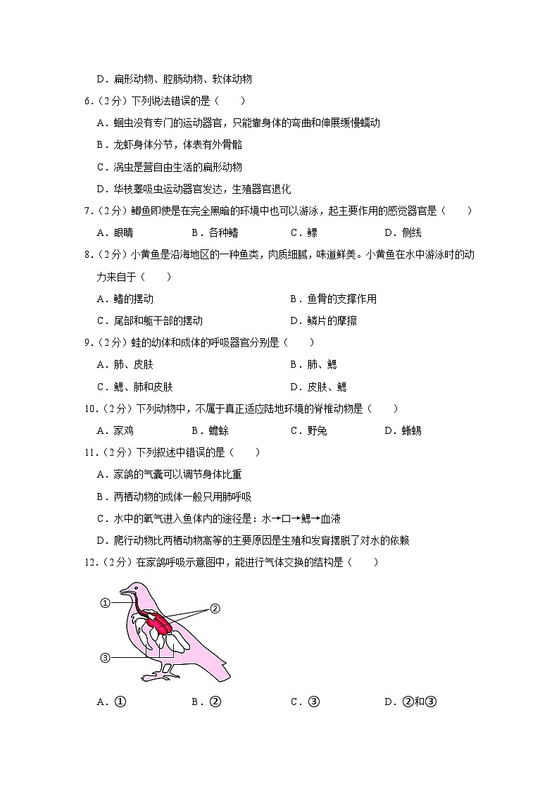甘肃省武威市凉州区金山乡中学2023-2024学年八年级上学期期中生物试卷第2页