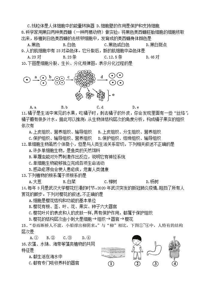 河北省唐山市迁安市2023-2024学年七年级上学期期中生物试题第2页