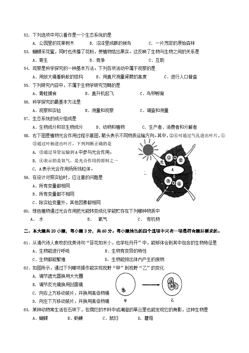 江苏省淮安市洪泽外国语中学2023-2024学年七年级上学期期中模拟生物试卷02