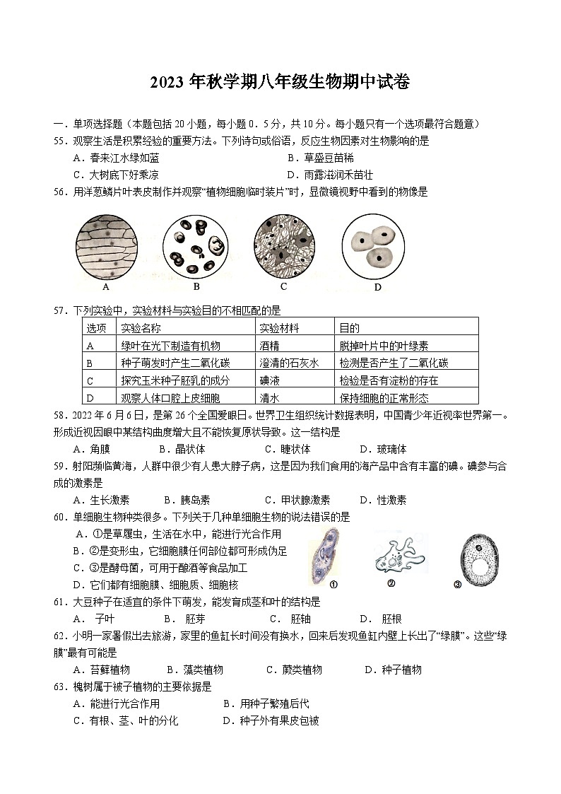 2023年秋学期八年级生物期中试卷第1页