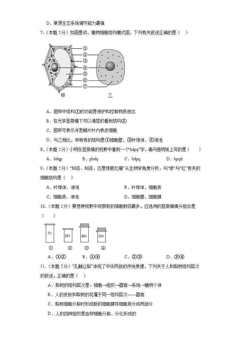 四川省成都市新都区2023-2024学年七年级上学期期末预测生物试题02