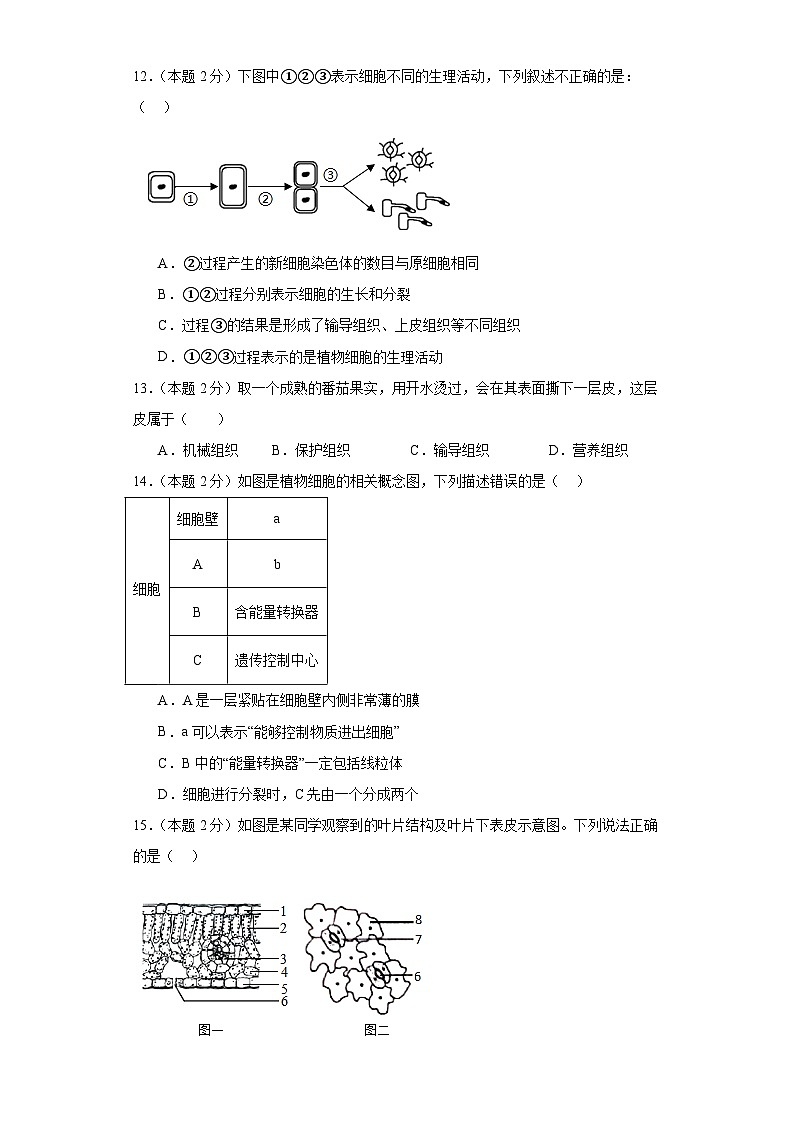 四川省成都市新都区2023-2024学年七年级上学期期末预测生物试题03