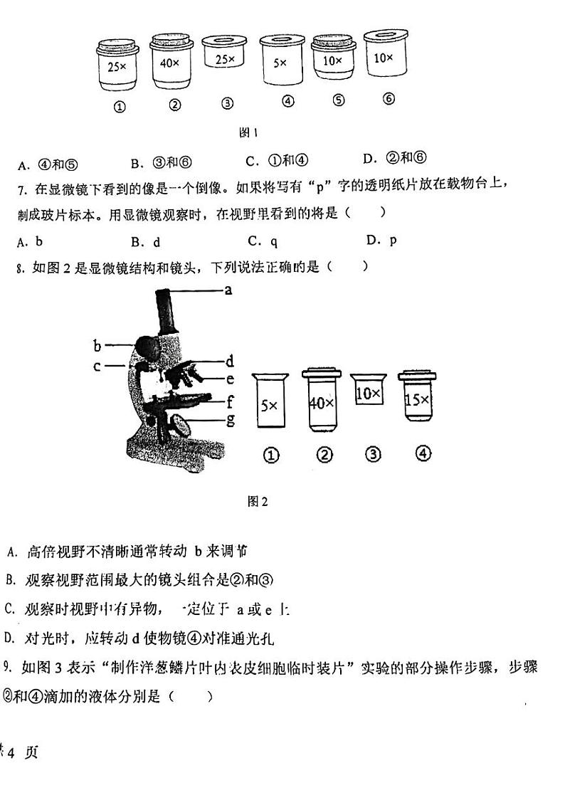 南宁翠竹实验学校2023-2024年上学期段考初一生物试卷第2页