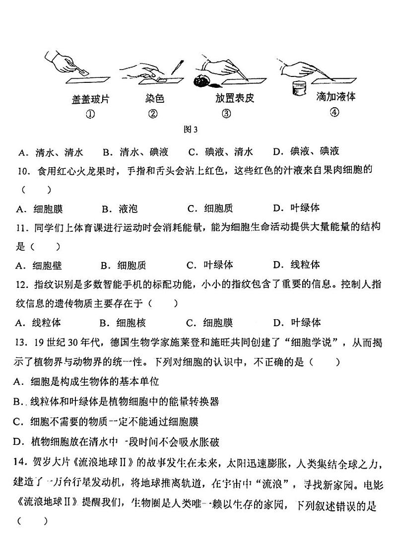 南宁翠竹实验学校2023-2024年上学期段考初一生物试卷第3页