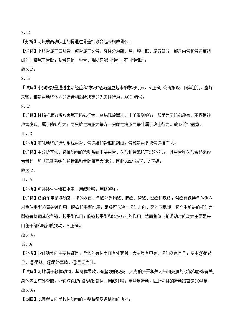 八年级上册生物期中考试卷(第1-3章)(答题卡+答案+原卷版+全解全析)03