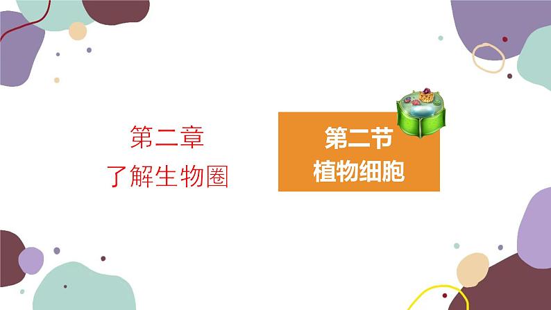 人教版生物七年级上册 2.1.2植物细胞优化课件01